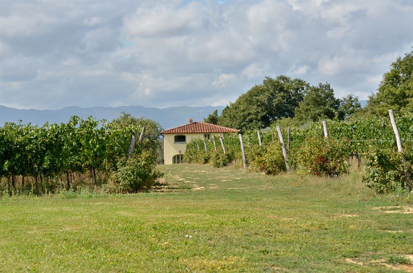 Villadeicavalli 024