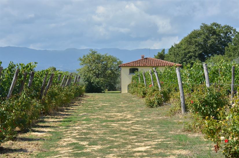 Villadeicavalli 026
