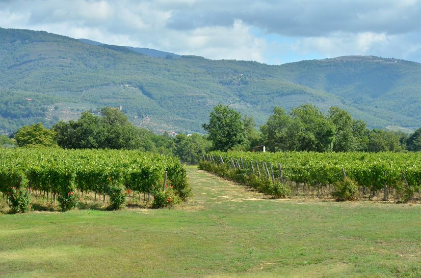 Villadeicavalli 027