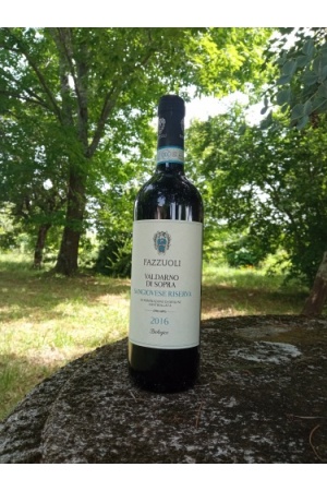 valdarno_di_sopra