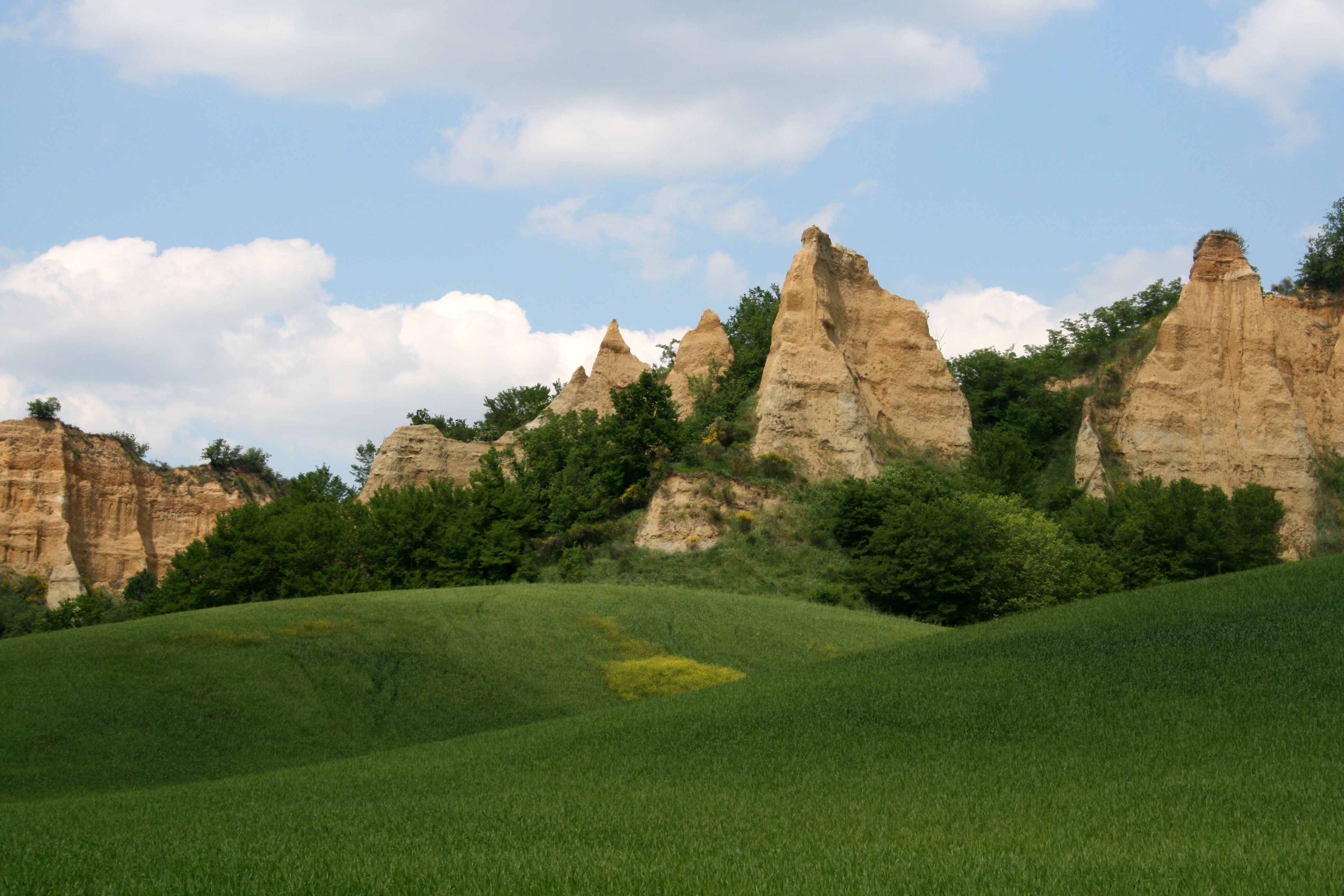 NATURE